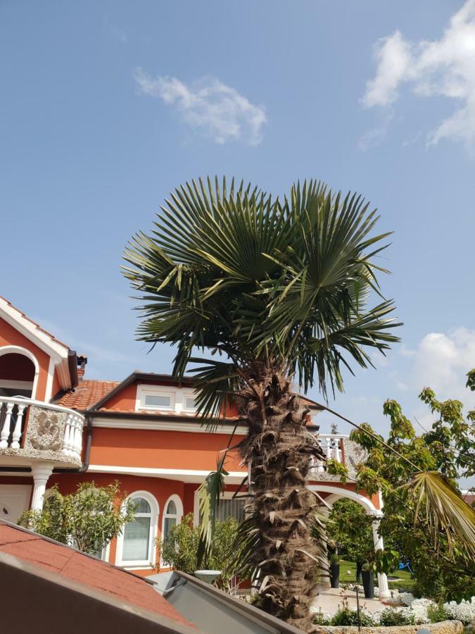 Apartma Jelka Novigrad Istria Exterior foto